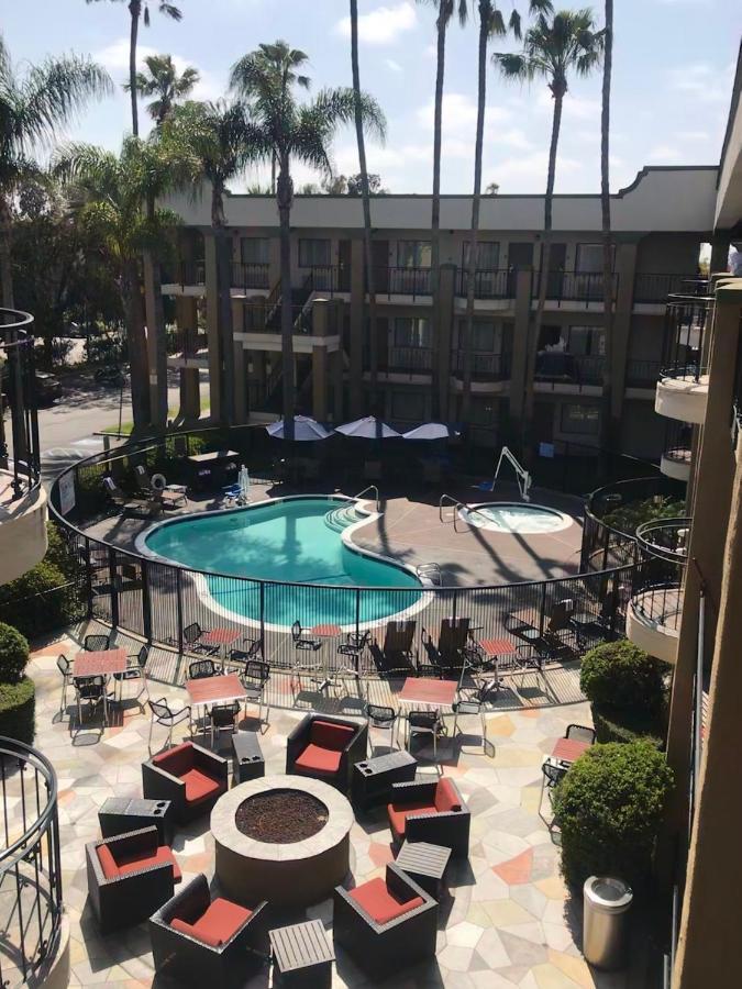 Standard Room 1 King Bed Pool View Non Smoking