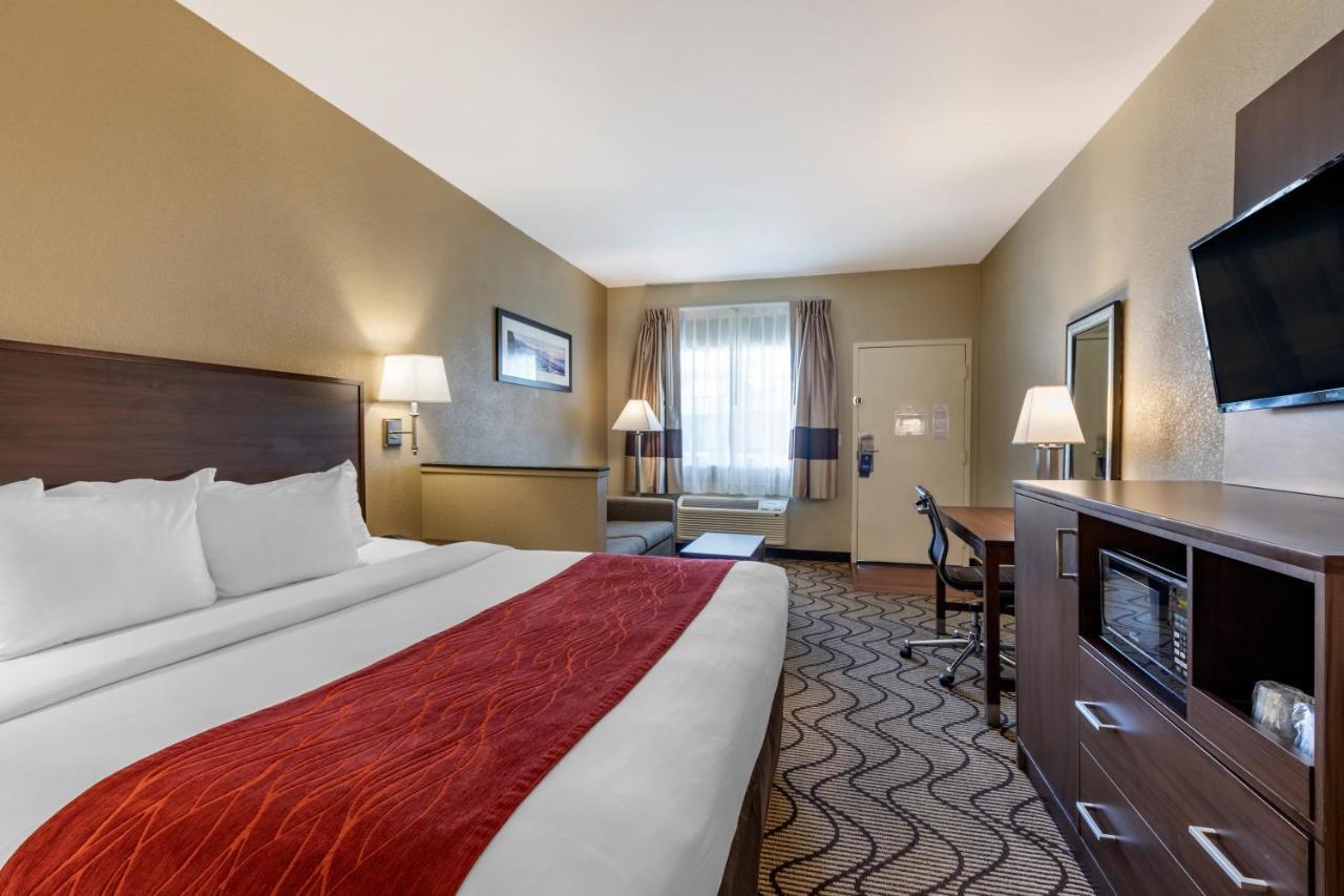 Suite 1 King Bed Sofa Bed Pool View Non Smoking